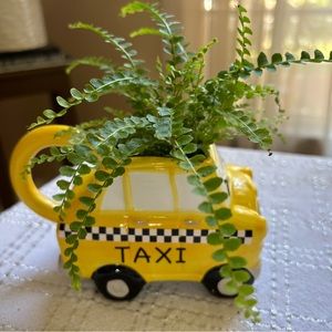 Taxi Cab Mug Planter with a fern live plant